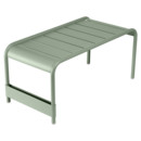 Banc / Grand table basse Luxembourg , Cactus