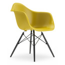 Eames Plastic Armchair RE DAW, Moutarde, Sans rembourrage, Sans rembourrage, Version standard - 43 cm, Érable noir
