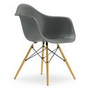 Eames Plastic Armchair RE DAW, Gris granit, Sans rembourrage, Sans rembourrage, Version standard - 43 cm, Érable nuance de jaune