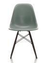 Eames Fiberglass Chair DSW, Eames sea foam green, Érable noir