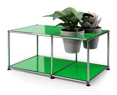 Table d'appoint USM Haller Monde végétal  Vert USM|Basalte