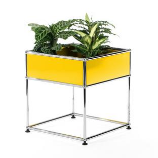 Table d'appoint USM Haller pour plantes Type 2 Jaune or RAL 1004|50 cm