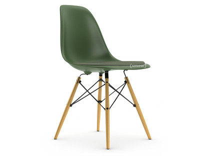 Eames Plastic Side Chair RE DSW Forêt|Avec coussin d'assise|Ivoire / forêt|Version standard - 43 cm|Frêne tons miel