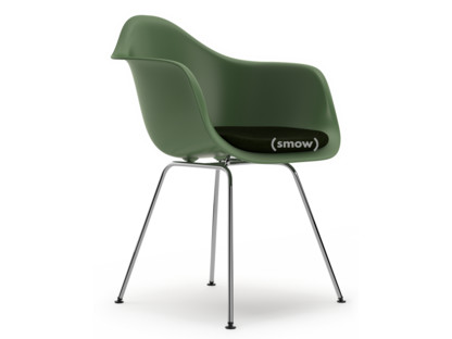 Eames Plastic Armchair RE DAX Forêt|Avec coussin d'assise|Nero / forêt|Version standard - 43 cm|Chromé