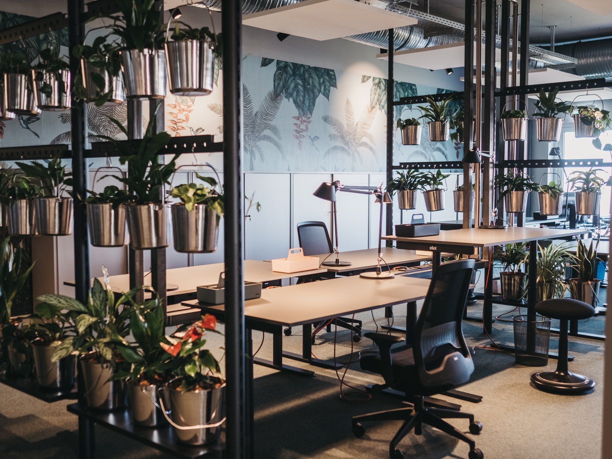Bureaux dans un écrin de verdure