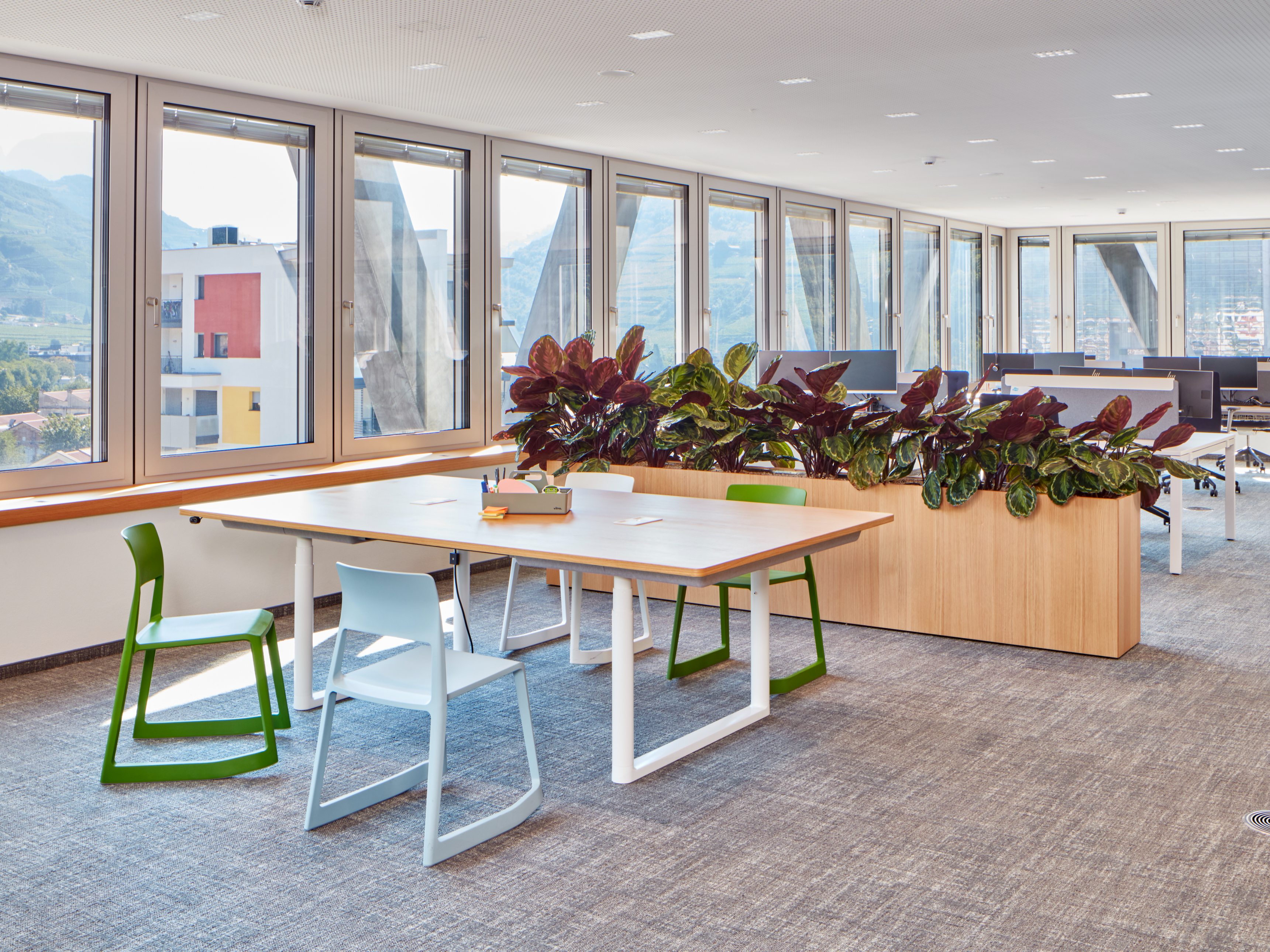 Bacs à plantes comme pare-vue dans le bureau