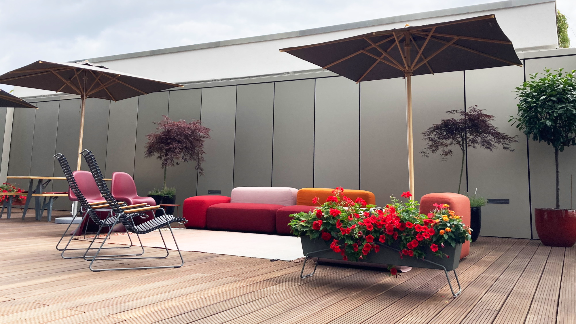 Jardin urbain & Bureau jungle
